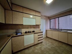 The Cairnhill (D9), Condominium #556177581